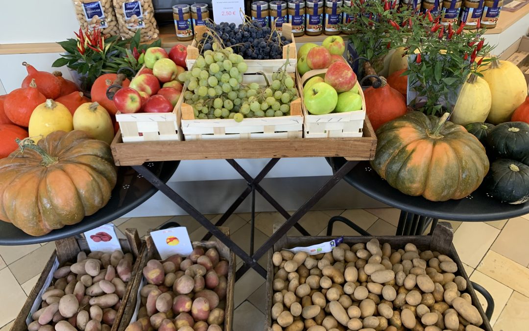 Trauben, Äpfel, Kürbis und Kartoffeln – üppige Ernte aus Deutschland